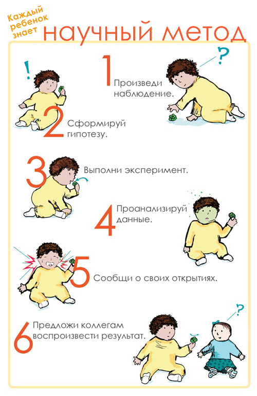 Каждый ребенок знает научный метод познания