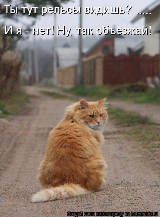 Мысли вслух :)