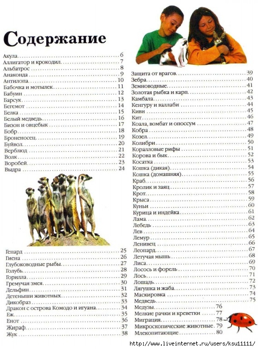 Entziklopedia dlya detei.Vse o jivotnih ot a do ya..page005 (518x700, 309Kb)