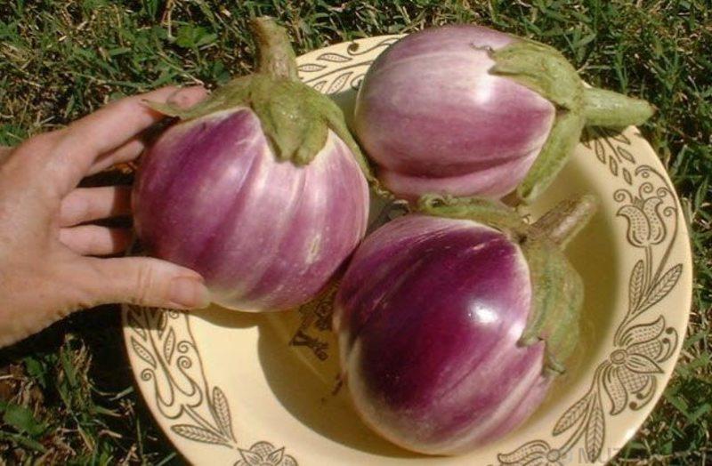 10 продуктов, которые были генетически модифицированы, но об этом мало кто знает 10 продуктов, которые были генетически модифицированы, но об этом мало кто знает