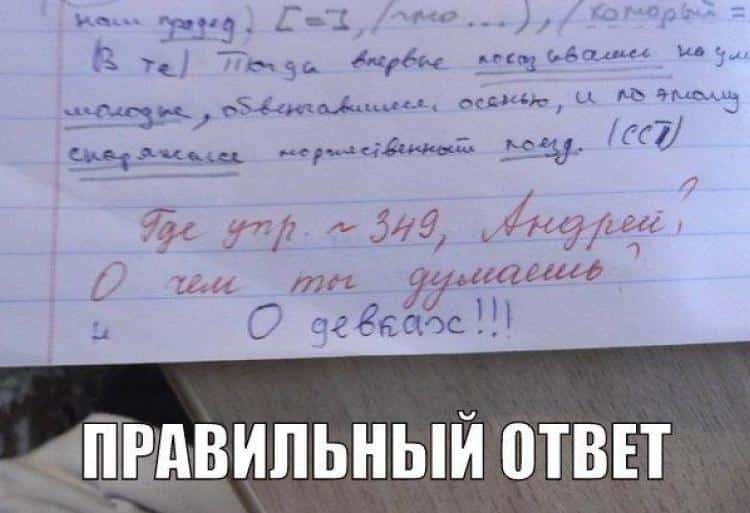 Глядя на эти фото, ты будешь смеяться так, что сбегутся соседи! Глядя на эти фото, ты будешь смеяться так, что сбегутся соседи!