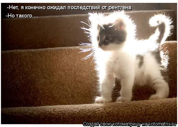 Ура!! Пятница - котоматрица!!! Ура!! Пятница - котоматрица!!!
