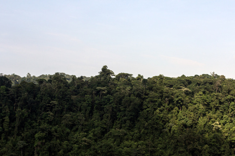 Коста-Рика, День 2-3: Вулкан Arenal, Индейцы Малеку и Водопады