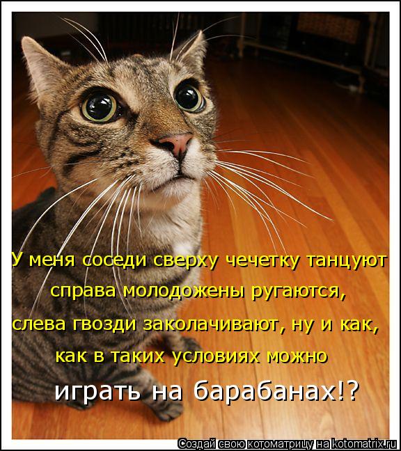 Ура!! Пятница - котоматрица!!! Ура!! Пятница - котоматрица!!!