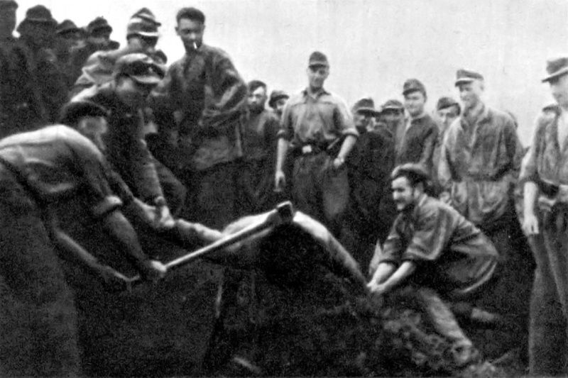 Связанная партизанка Связанная партизанка