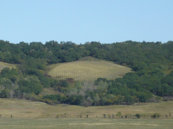 http://vetert.ru/rossiya/volgogradskaya-oblast/sights/54-medvedickaya-gryada/02.jpg