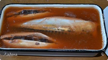 Кулинария Мастер-класс Рецепт кулинарный Улётная Скумбрия без жидкого дыма и прочих трудностей Продукты пищевые фото 13