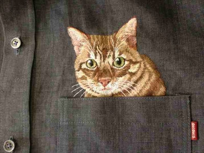 Котики в карманах (вышивка на рубашках)