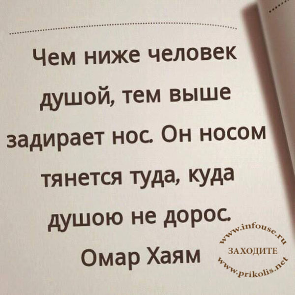 Омар Хайям о мудрости жизни Омар Хайям о мудрости жизни