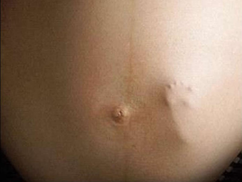 20 вирусных фото, которые оказались фейком