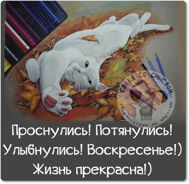 ,   ,         -   ,       