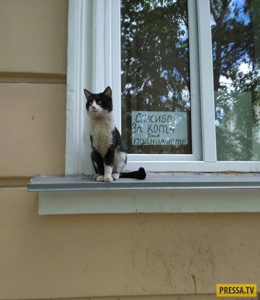 Прикольные объявления, реклама и прочие маразмы Прикольные объявления, реклама и прочие маразмы