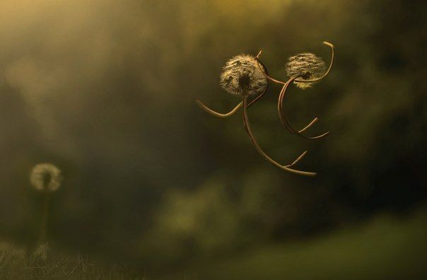 Больше, чем просто фото (50 фото)