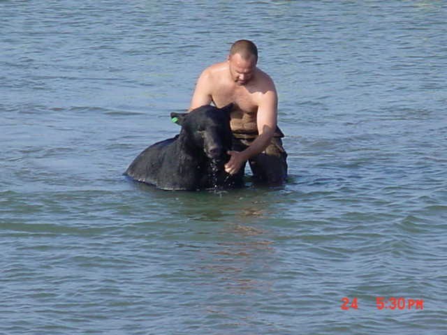 Мужчина спас огромного медведя, тонущего в океане люди, медведь, спас