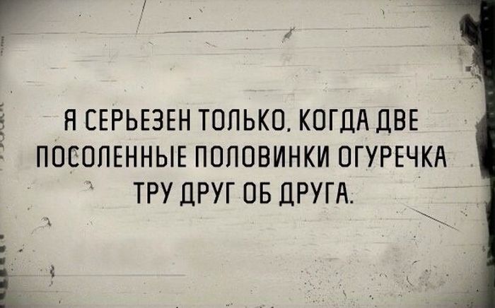 Прикольные картинки (102 фото)