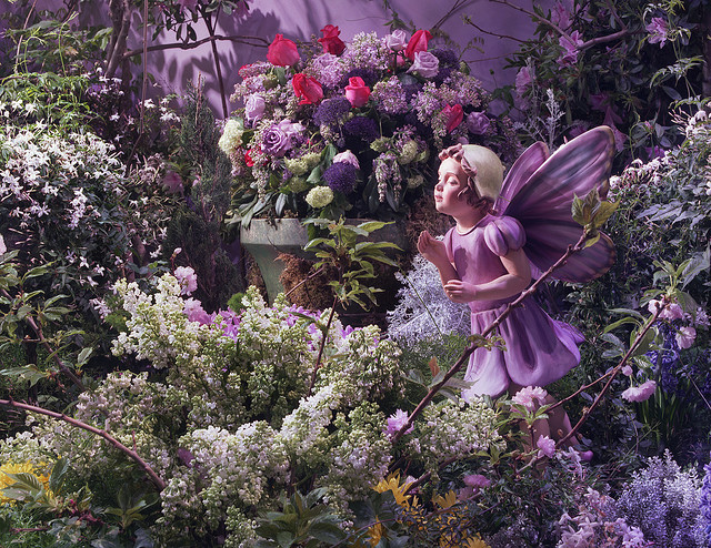 3849581102_79b875a9b4_z (640x494, 253Kb)