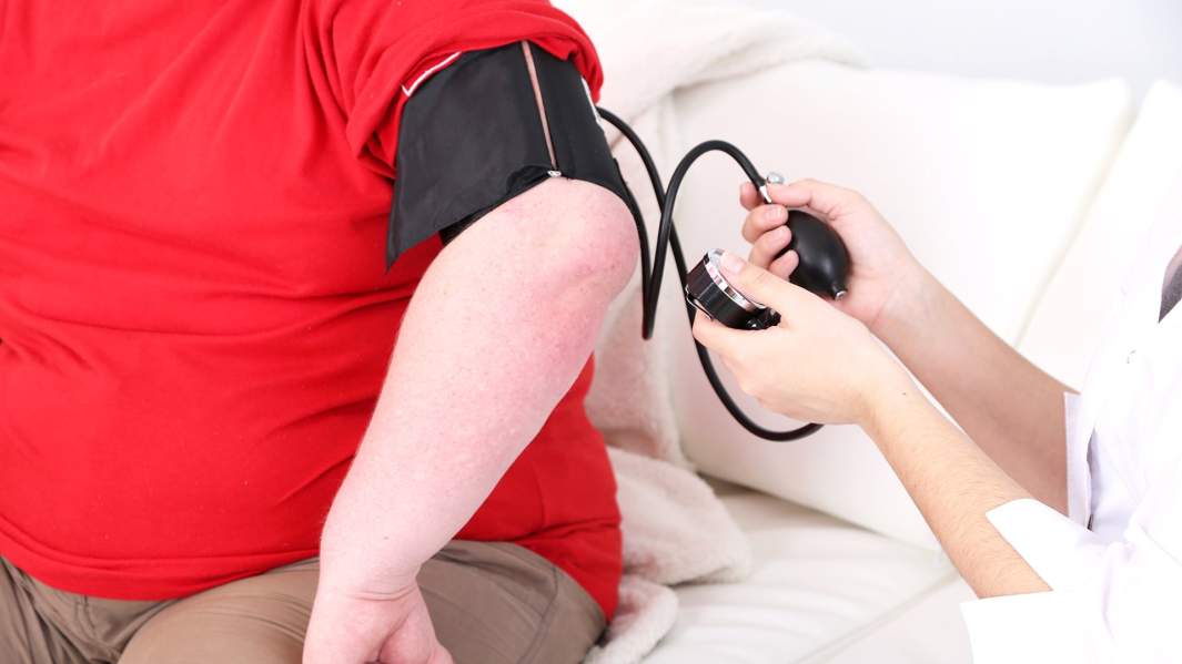 Комплекс мер по борьбе с ожирением у взрослых намерены подготовить к марту