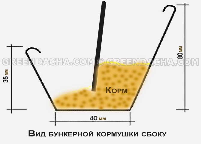 Брудер для цыплят своими руками чертежи фото фото 642