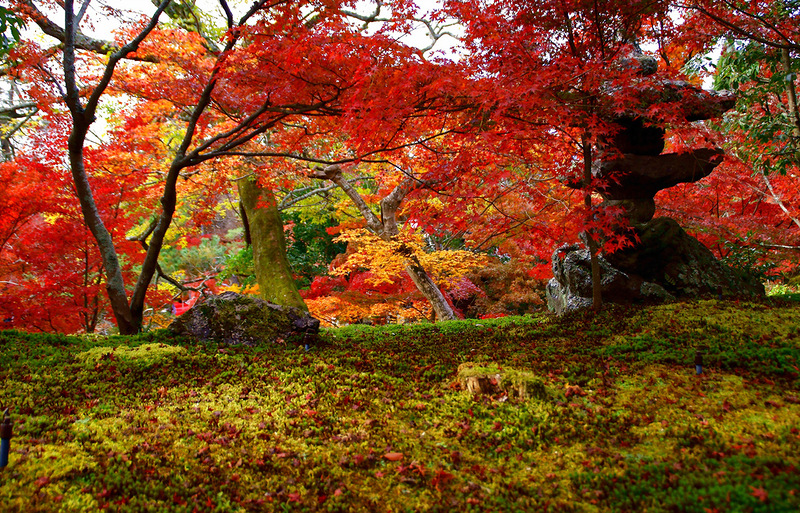 Очей очарованье