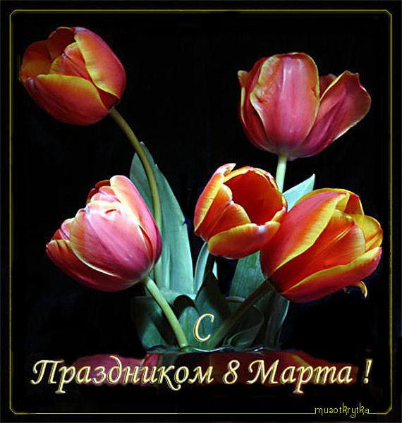 8 март113 (570x600, 69Kb)