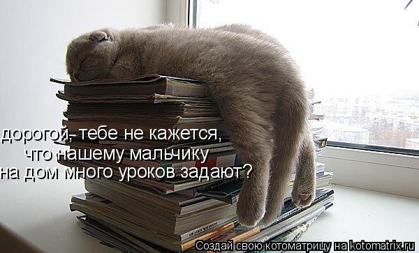 Ура!! Пятница - котоматрица!!! Ура!! Пятница - котоматрица!!!