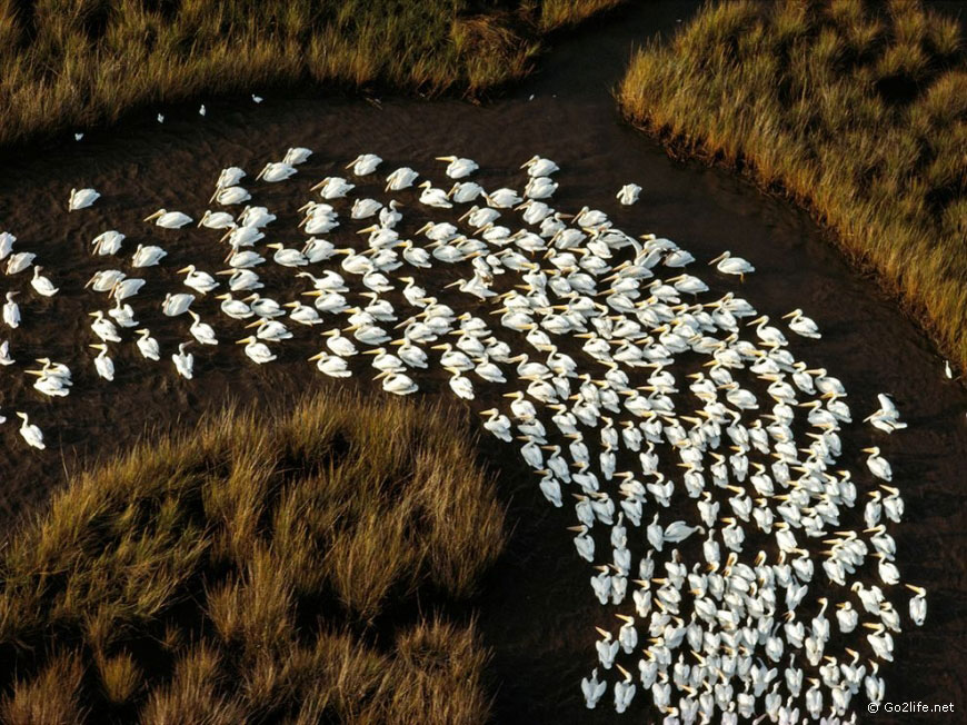 25 лучших фотографий National Geographic. Часть 2