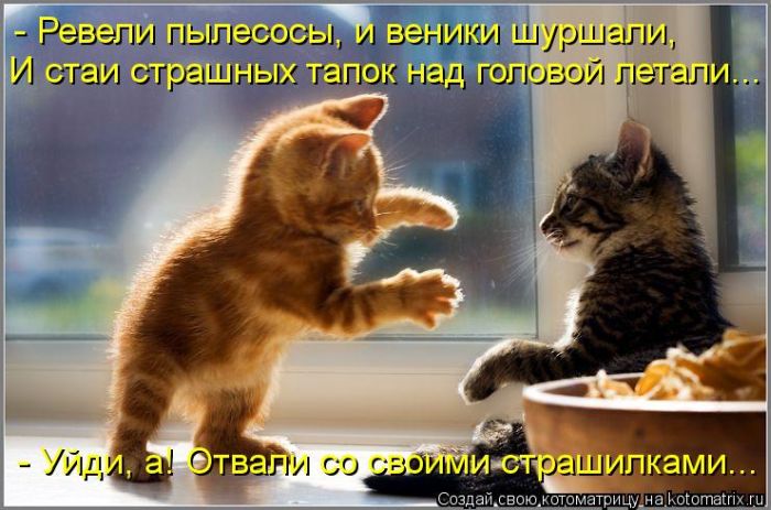 Котоматрицы великолепные, каждая с кусочком тепла, позитива и улыбкой! Котоматрицы великолепные, каждая с кусочком тепла, позитива и улыбкой!