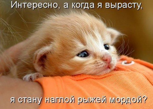 https://www.stihi.ru/pics/2016/03/28/7336.jpg