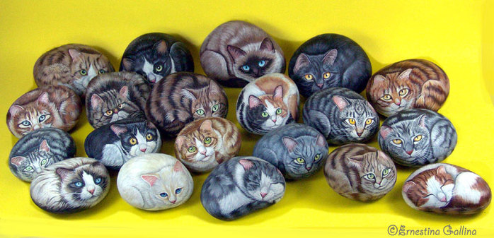 m_gattini (700x337, 85Kb)