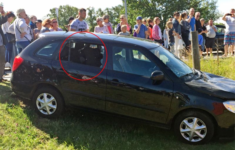 Рассвирепевший цирковой слон сорвался на автомобиле (9 фото)