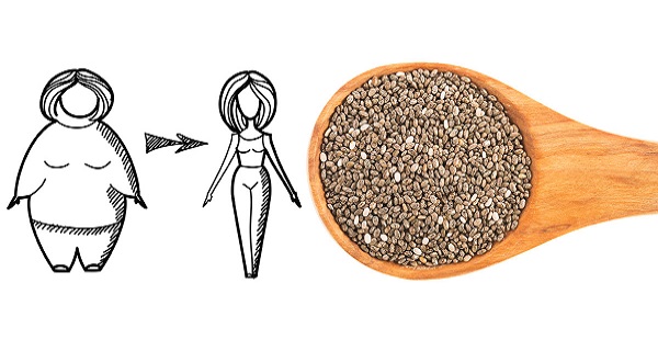 cha-cha-cha-chia
