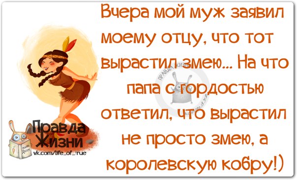 Статусы про контакт и работу Статусы про контакт и работу