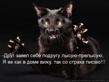   ... !