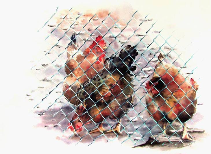 Акварели Валентины Верлато