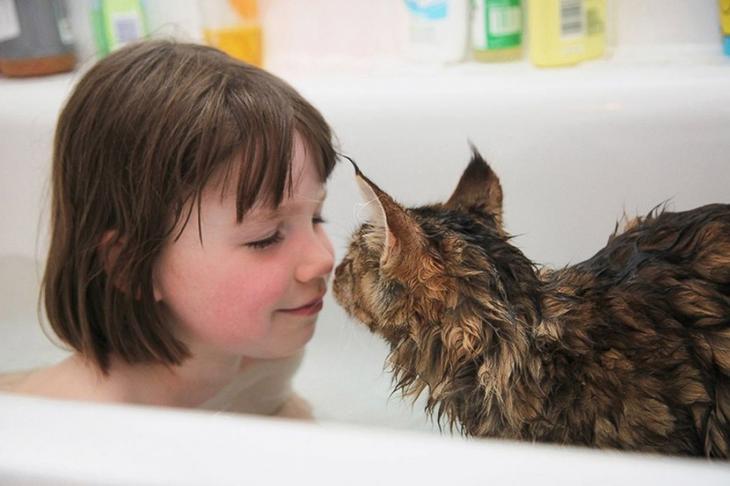 Как кошка Тула помогает девочке с аутизмом дети, доброты пост, животные