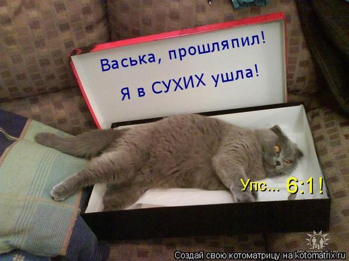 Лучшие котоматрицы недели