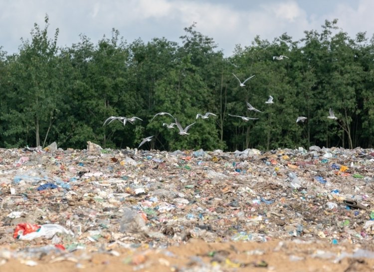 В Ленобласти появятся новые площадки для переработки мусора