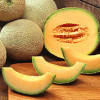 Cantaloupes