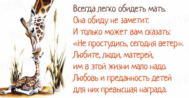 Не обижай те матерей стих Не обижай те матерей стих