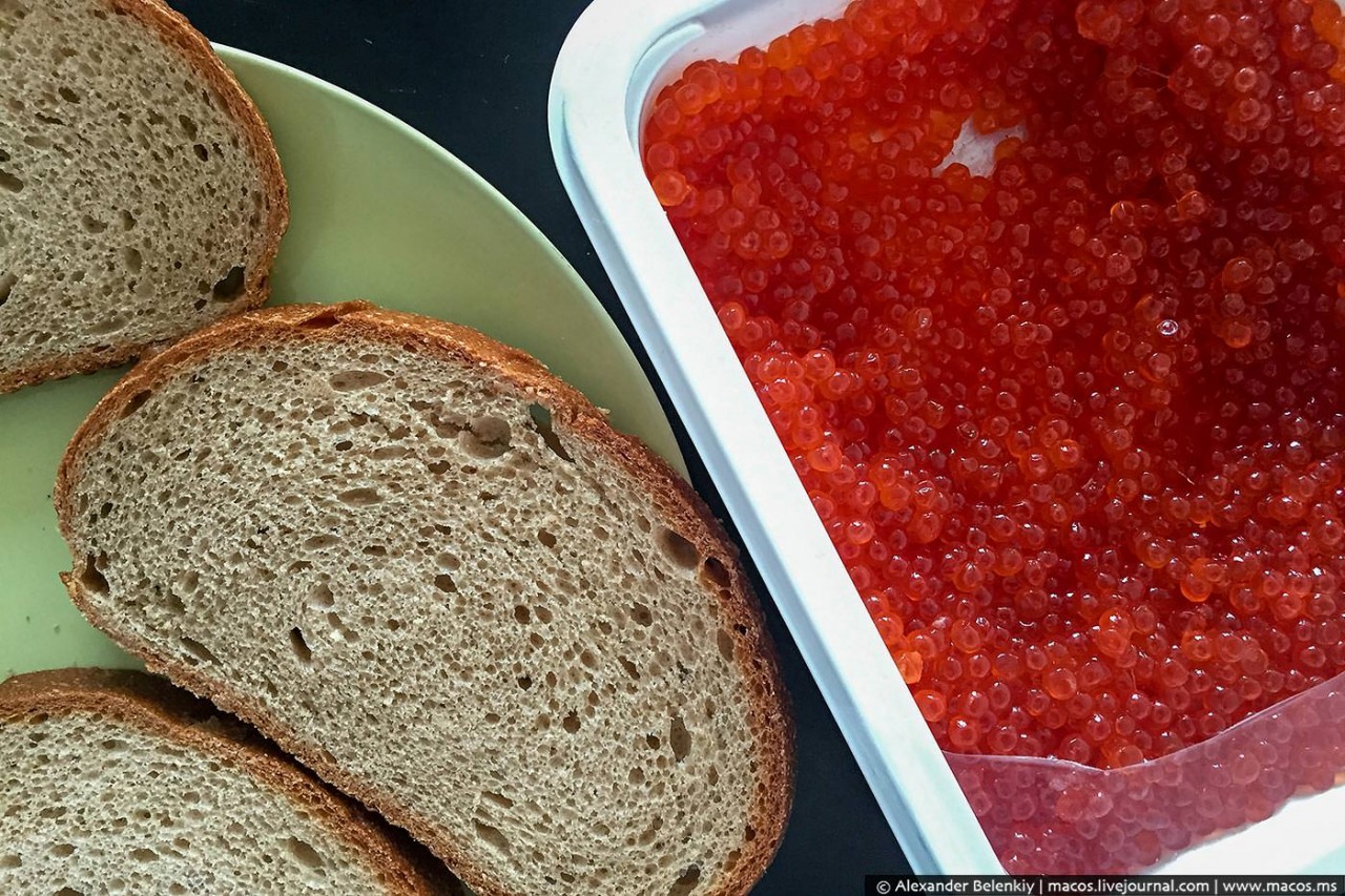 АМЕРИКАНЦЫ НАСОЛИЛИ