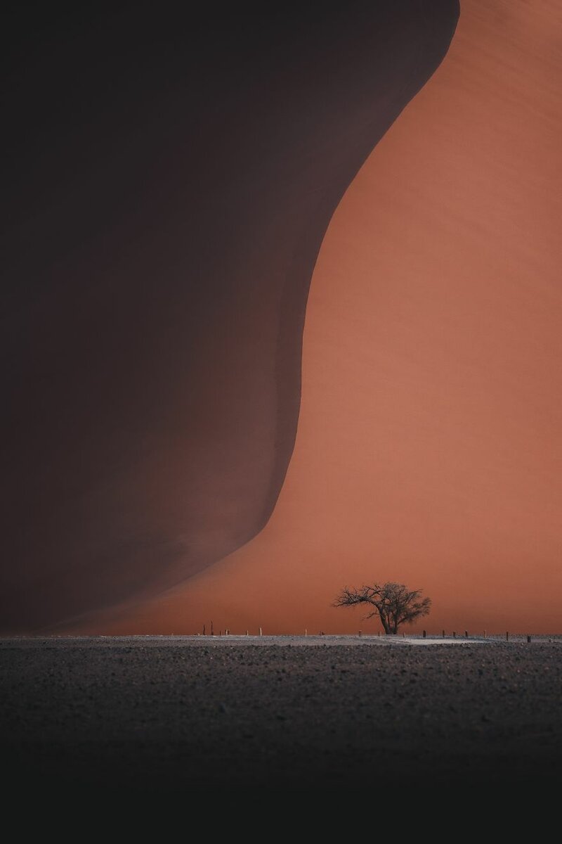 13 фото с конкурса Landscape-2019, после которых вы захотите отправиться в путешествие