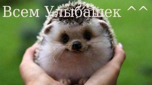 Вместе мы горы свернём! Ну, или дров наломаем… Вместе мы горы свернём! Ну, или дров наломаем…