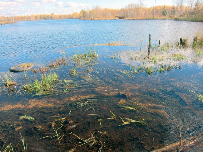 Нижегородский басс. Илья Нужин басс6.jpg