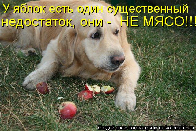 Котоматрица: У яблок есть один существенный недостаток, они -  НЕ МЯСО!!!