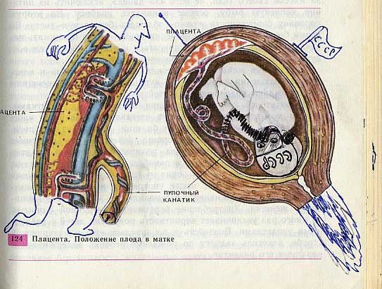 Рисунки в учебниках. Часть 2 Рисунки в учебниках, школа