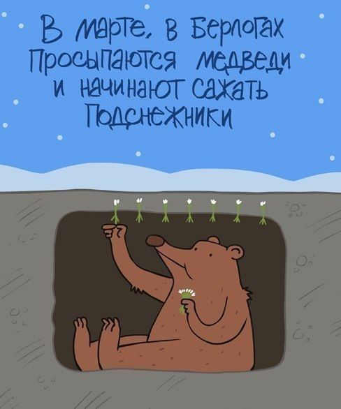 мудрые мысли Мудрые мысли (10 фраз)