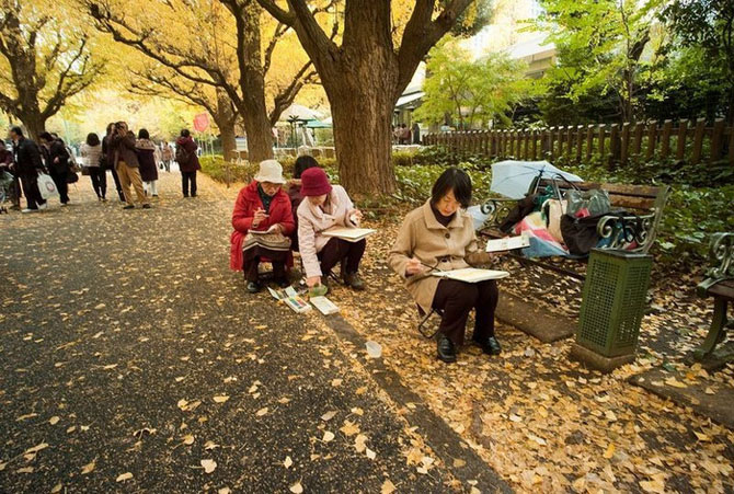 Изумительная красота древних деревьев: аллея гингко билоба в Токио