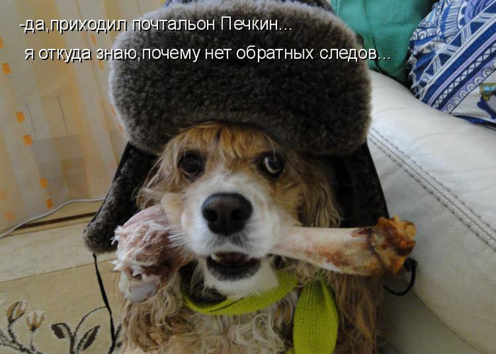1300884821_30 (700x500, 329Kb)
