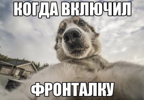 Анекдоты в пятницу (19 шт) Анекдоты в пятницу (19 шт)