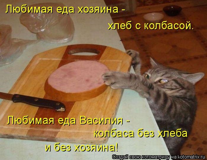 Санитар Васька (котоматрица) 40 фото Санитар Васька (котоматрица) 40 фото